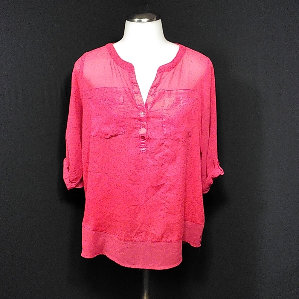 Express sheer blouse